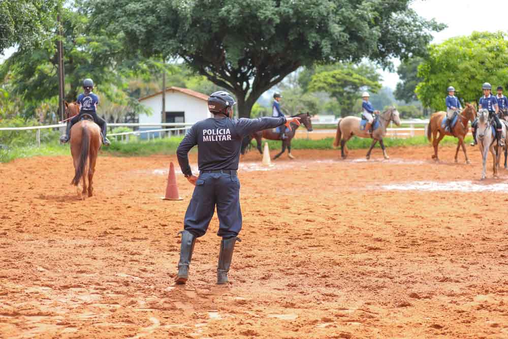 Projeto oferece aulas gratuitas de equitação para a comunidade