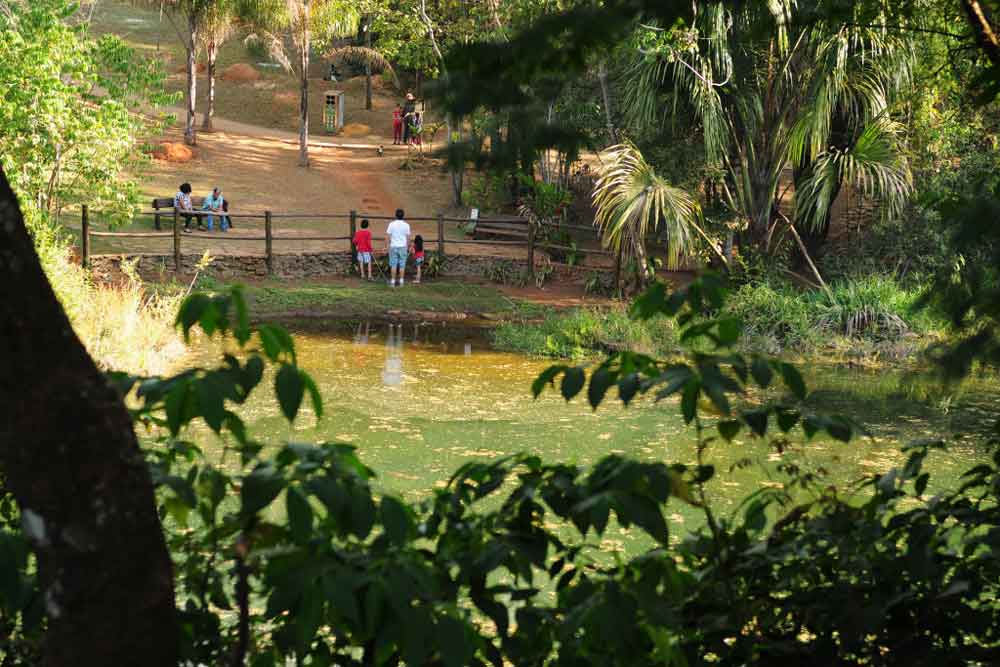 O Parque Ecológico Olhos d’Água fecha nesta segunda (25) para manutenção