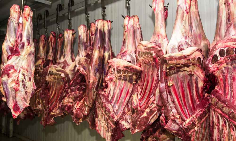 Balança comercial goiana abre 2024 com alta nas exportações de soja, carnes e açúcar