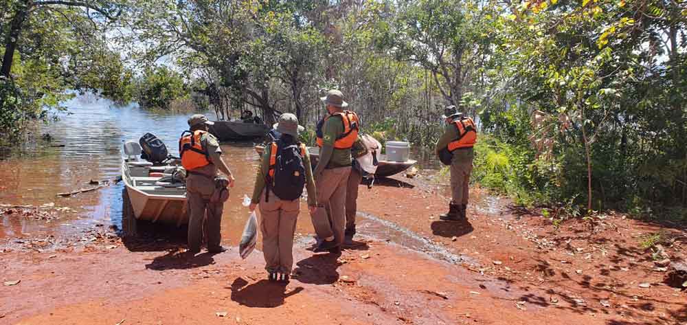 Goiás: Apreensão de pescado bate recorde na Operação Araguaia