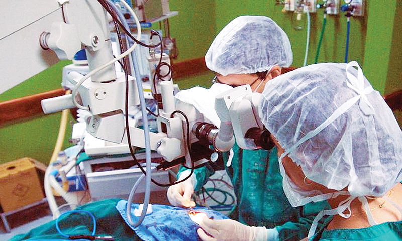Hospitais universitários são referência em transplantes de órgãos no País