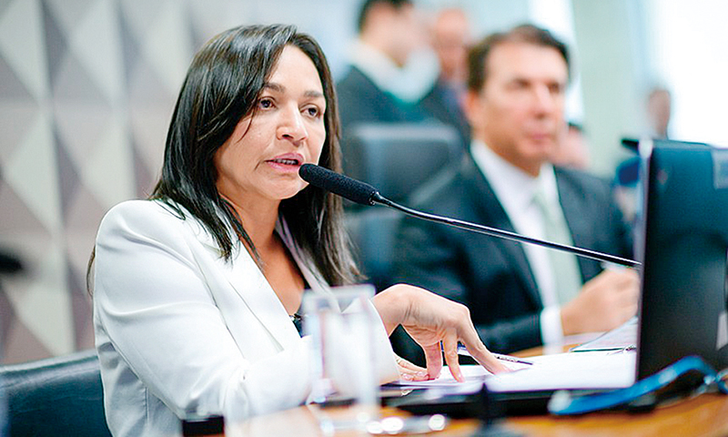 Colegiado aprova plano de trabalho apresentado pela senadora relatora,  Eliziane Gama (PSD-MA)