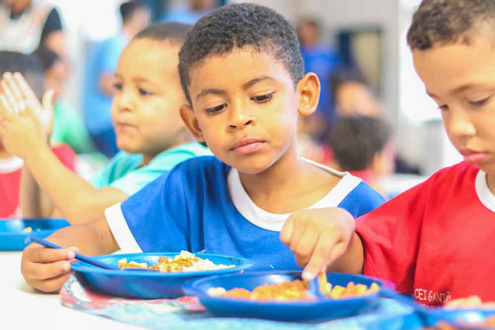Projeto de lei altera regras do Programa Nacional de Alimentação Escolar