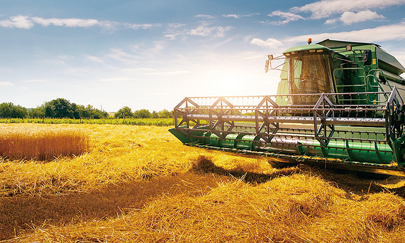 Agropecuária é destaque na economia do DF no primeiro trimestre deste ano