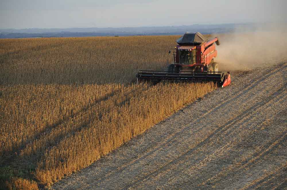 Goiás deve colher 31,5 milhões de toneladas de grãos