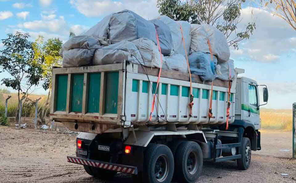 Goiás: Agrodefesa recolhe mais de 5,5 mil embalagens vazias de agrotóxicos