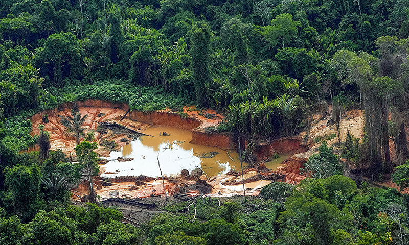Governo cria grupo de trabalho para acompanhar ações em terra Yanomami