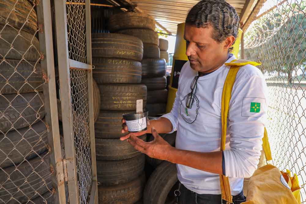 Armadilhas capturam mais de 10 mil ovos do mosquito Aedes aegypti