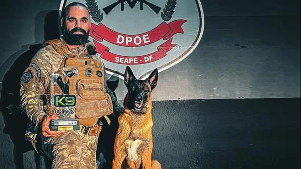 Polícia do DF é destaque em competição nacional de cães farejadores