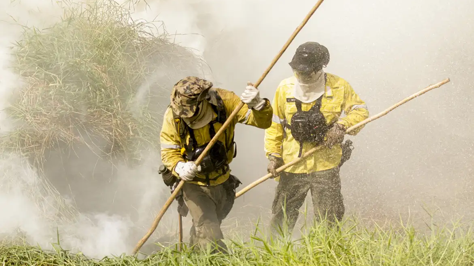 Brigadistas intensificam trabalho de combate a incêndios no Pantanal