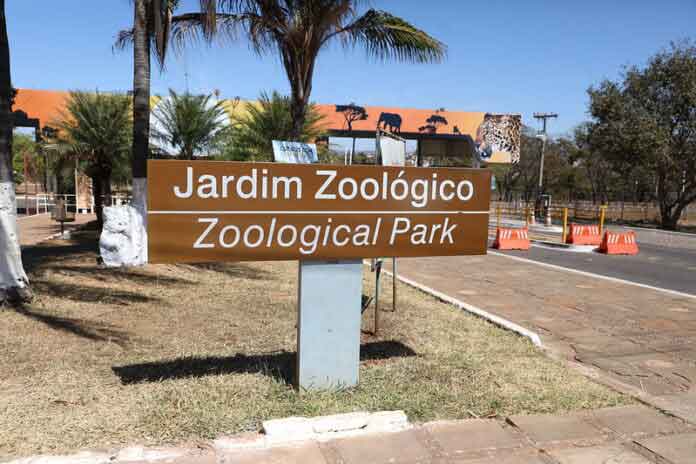 Zoo de Brasília recebe ação educativa de trânsito