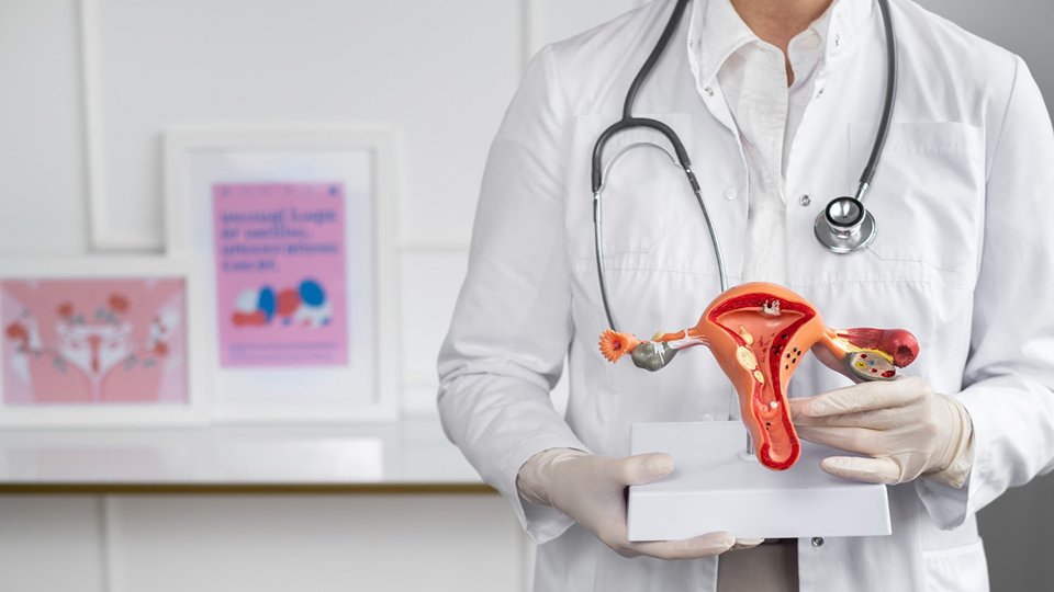 Endometriose e sistema imunológico: existe alguma relação entre os dois?