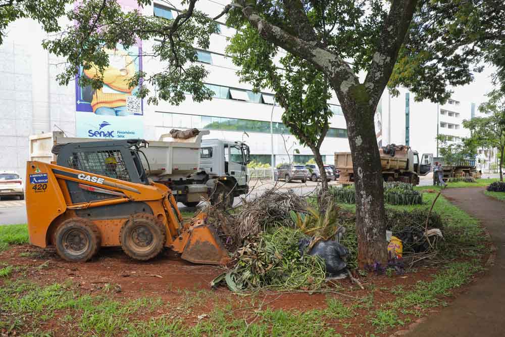 Operação de recolhimento de resíduos vegetais começa pelo Plano Piloto