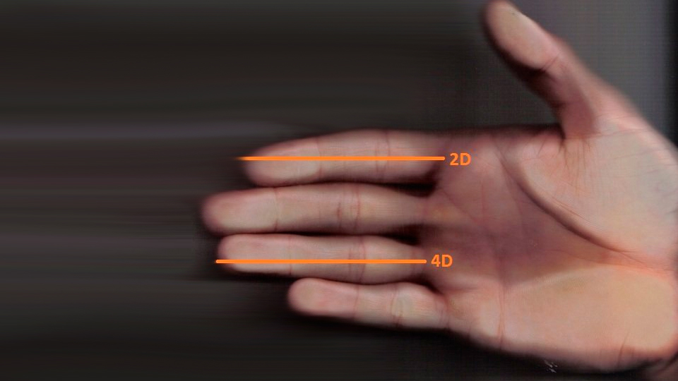 Comprimento dos dedos pode ter ligação com traços psicopatológicos, mostra estudo; entenda