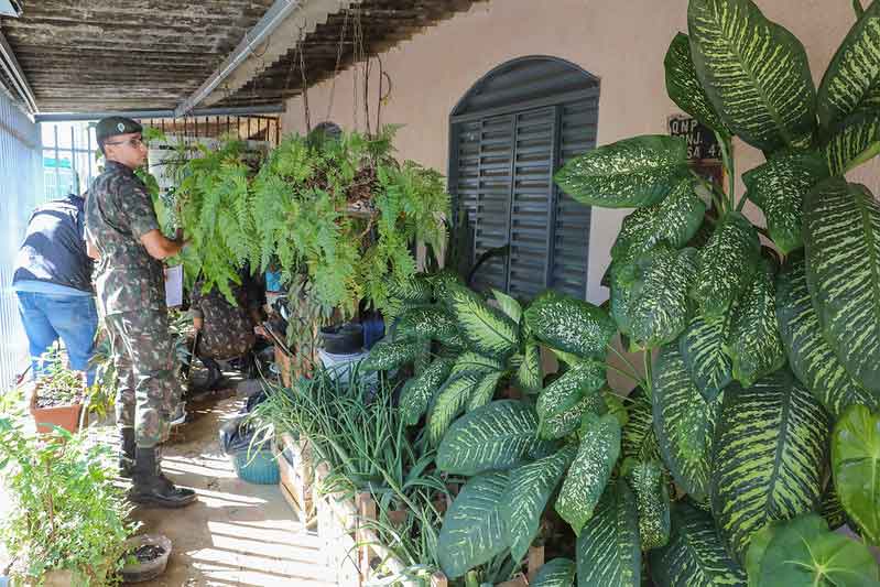 Ação de combate à dengue faz vistoria em residências do P Sul, em Ceilândia