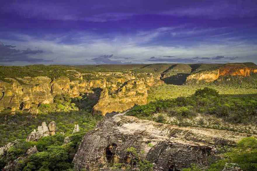 Passeio virtual permite conhecer Parque Nacional Serra da Capivara