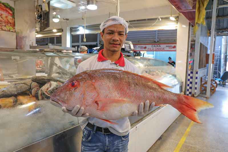 Aumenta a demanda na produção de pescados na Semana Santa no Distrito Federal