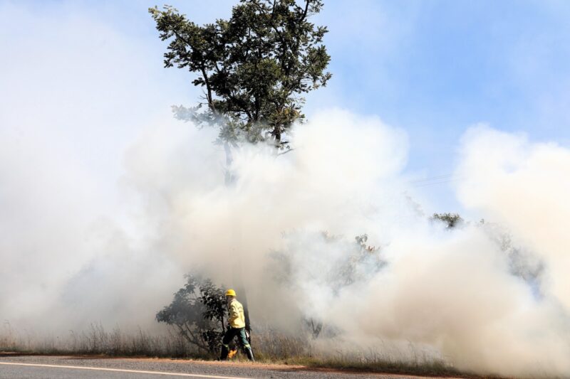 Decreto possibilita contratação de 150 brigadistas florestais para combate a incêndios
