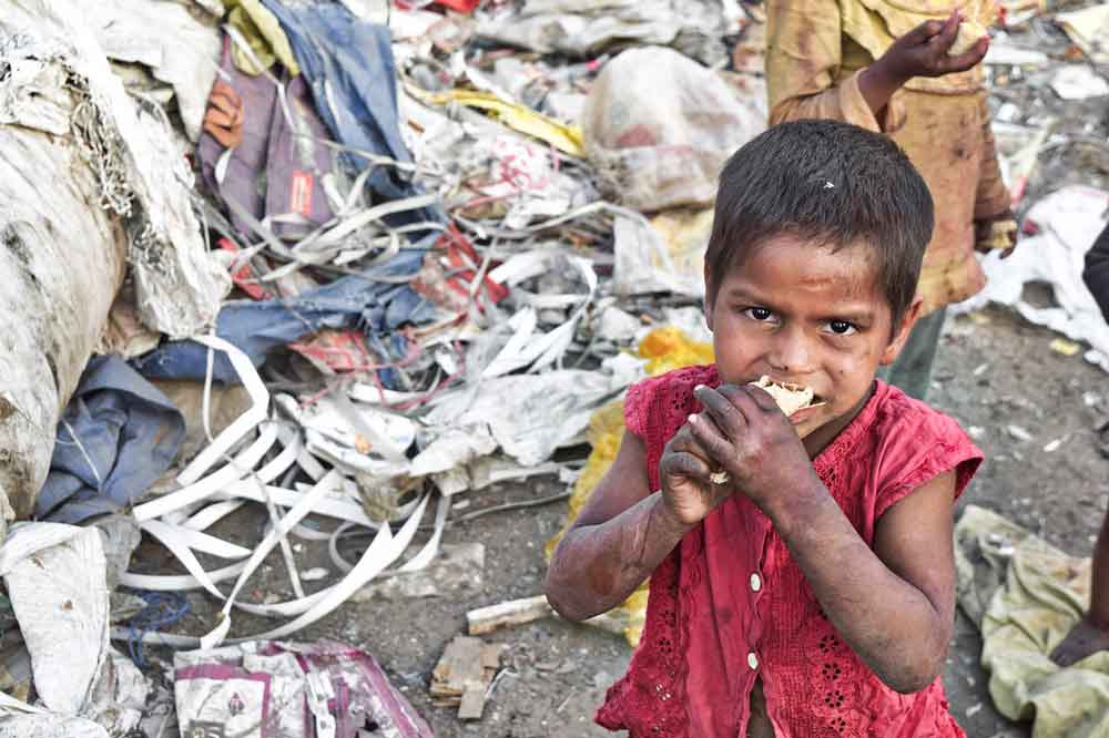 Fome Global: uma em cada 11 pessoas pode ter passado fome em 2023, aponta FAO