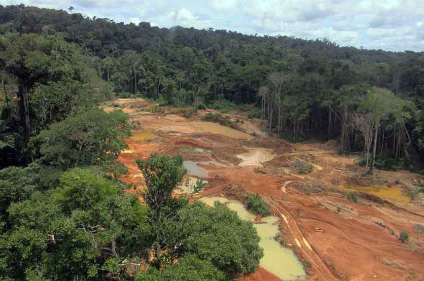 Garimpeiros são resgatados em garimpo ilegal no Amazonas