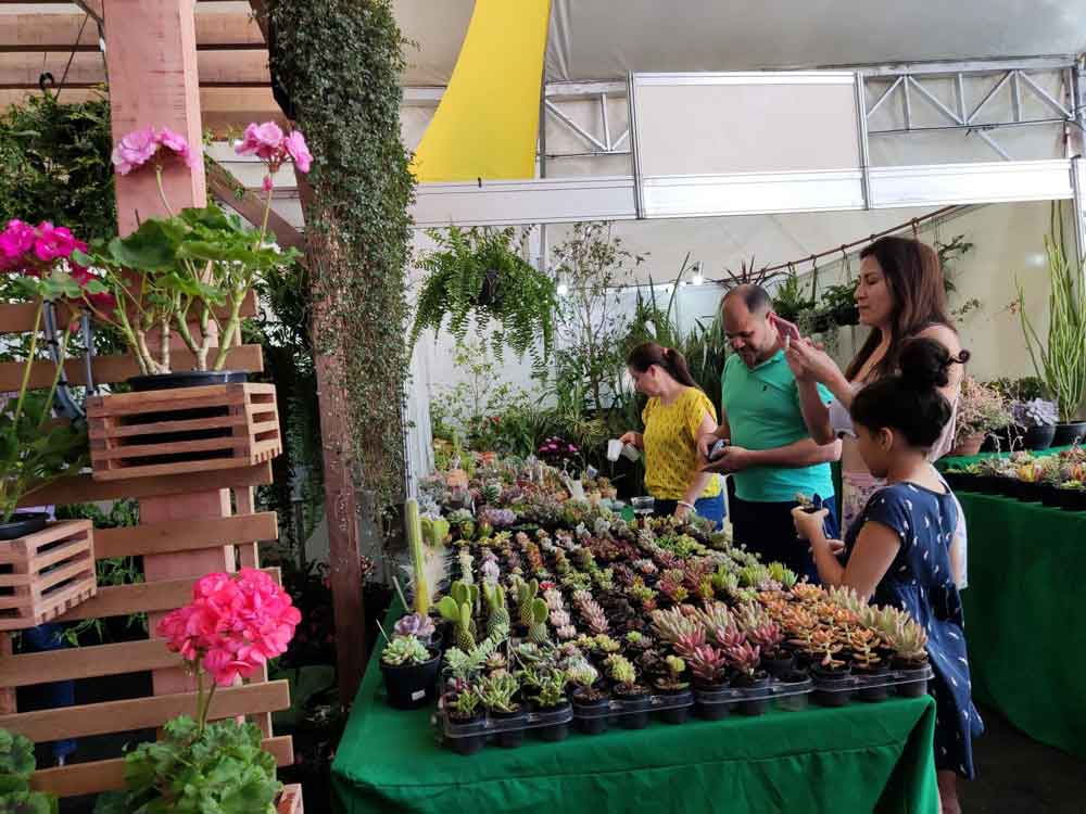 Serão 30 estandes para venda de flores e plantas ornamentais na 9ª Feira da Goiaba