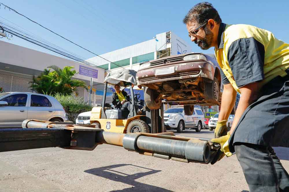 Número de carcaças recolhidas este ano já supera o de todo ano de 2023