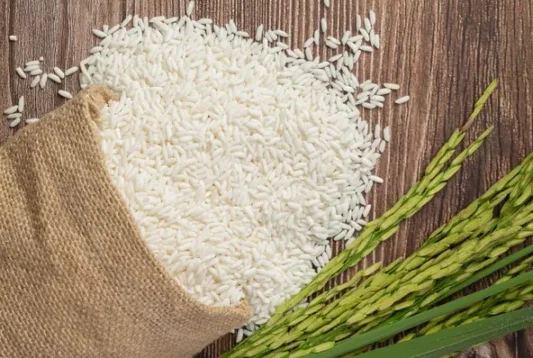 Novo edital de leilão de arroz sai em até dez dias, diz o ministro Paulo Teixeira