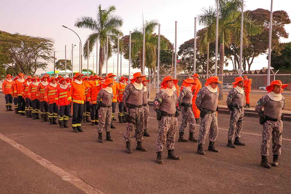 Bombeiros do DF vão ajudar no combate aos incêndios no Pantanal sul-mato-grossense