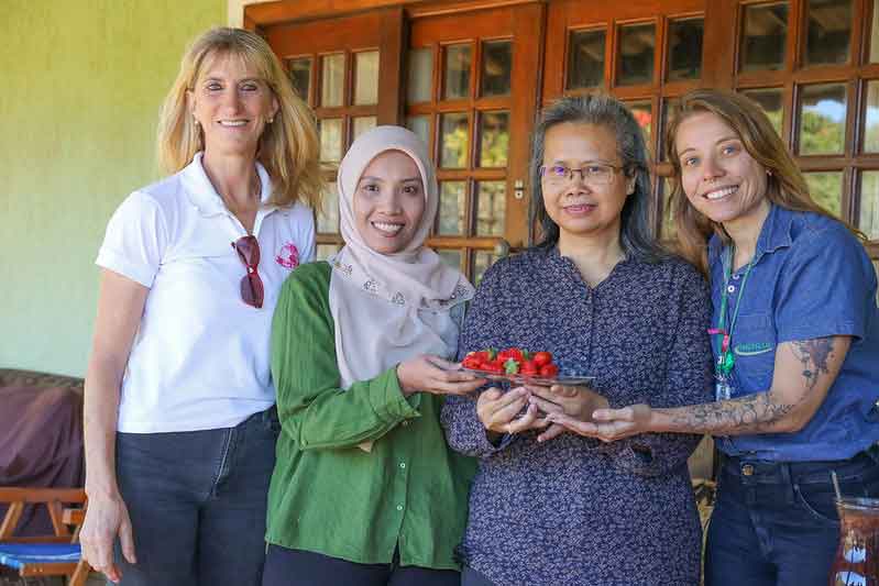 Rota da Fruticultura desperta interesse de missão da Malásia