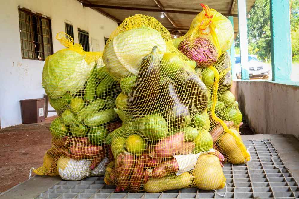 Cesta verde complementa Cartão Prato Cheio e reforça segurança alimentar