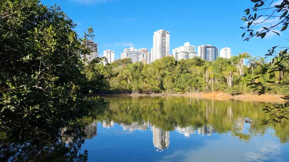 Inscrições abertas para conferência distrital sobre unidades de conservação