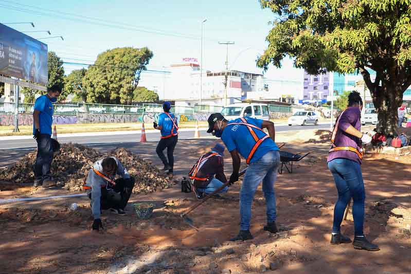 Da teoria à prática: alunos do RenovaDF trabalham nas obras da Avenida Hélio Prates