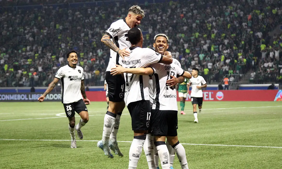 Botafogo segura empate com Palmeiras e avança na Copa Libertadores