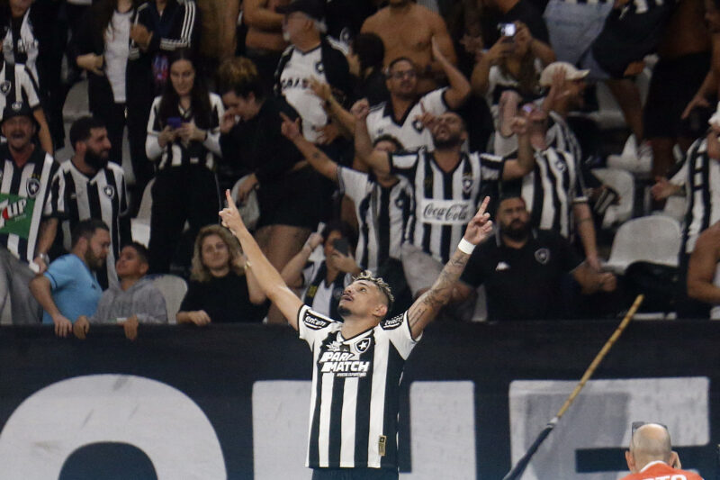 Botafogo x Palmeiras: veja horário e onde assistir ao jogo da Libertadores