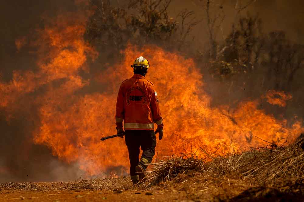 Bombeiros diversificam estratégias contra incêndios florestais em meio a seca histórica