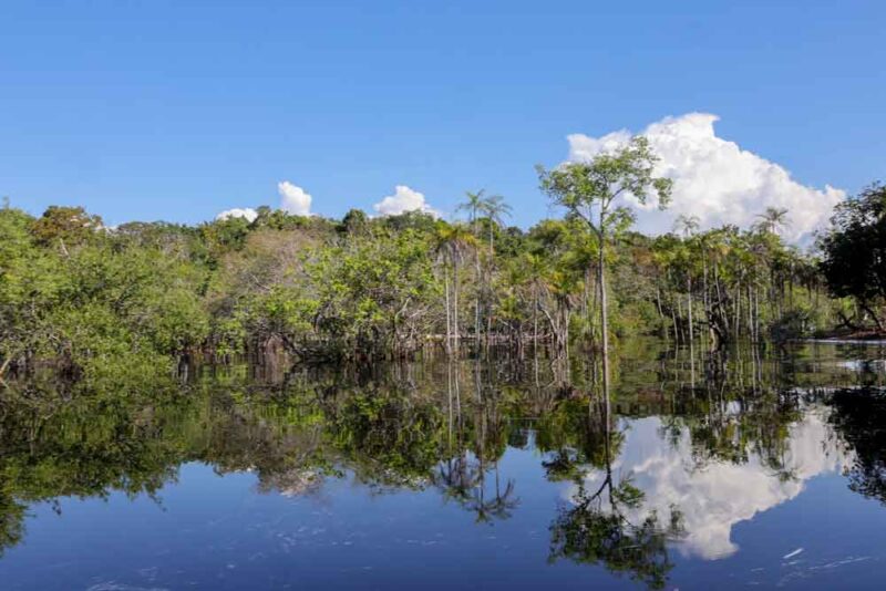 Rio Negro está a menos de 50 cm de passar por pior seca da história