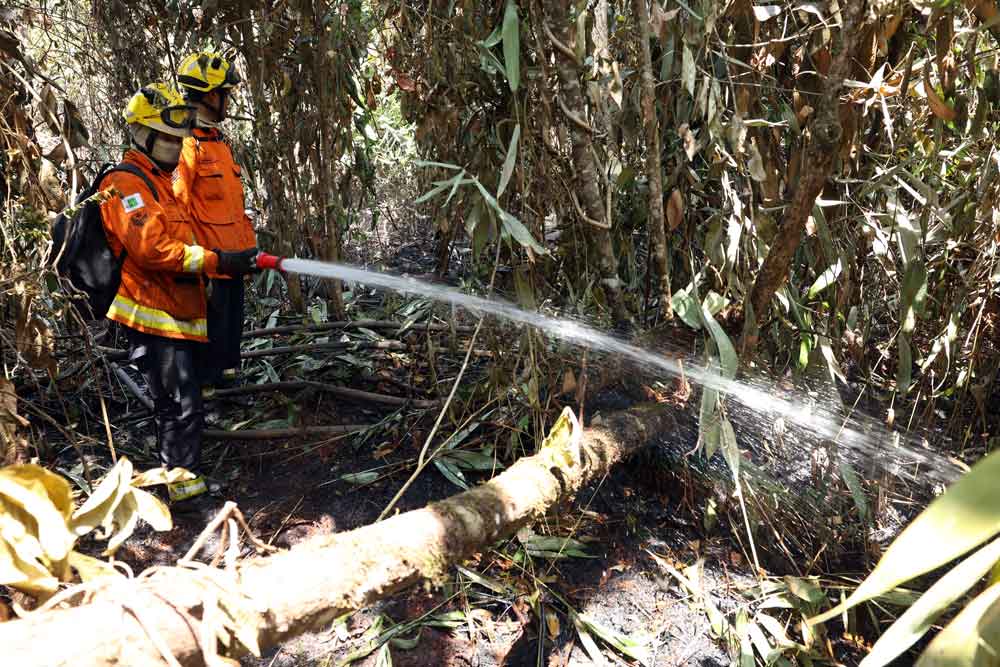 Com fogo controlado, agentes trabalham para resfriar solo no Parque Nacional