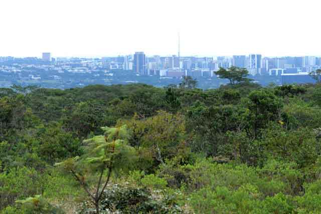 Prazo prorrogado para homologação das informações do Cadastro Ambiental Rural