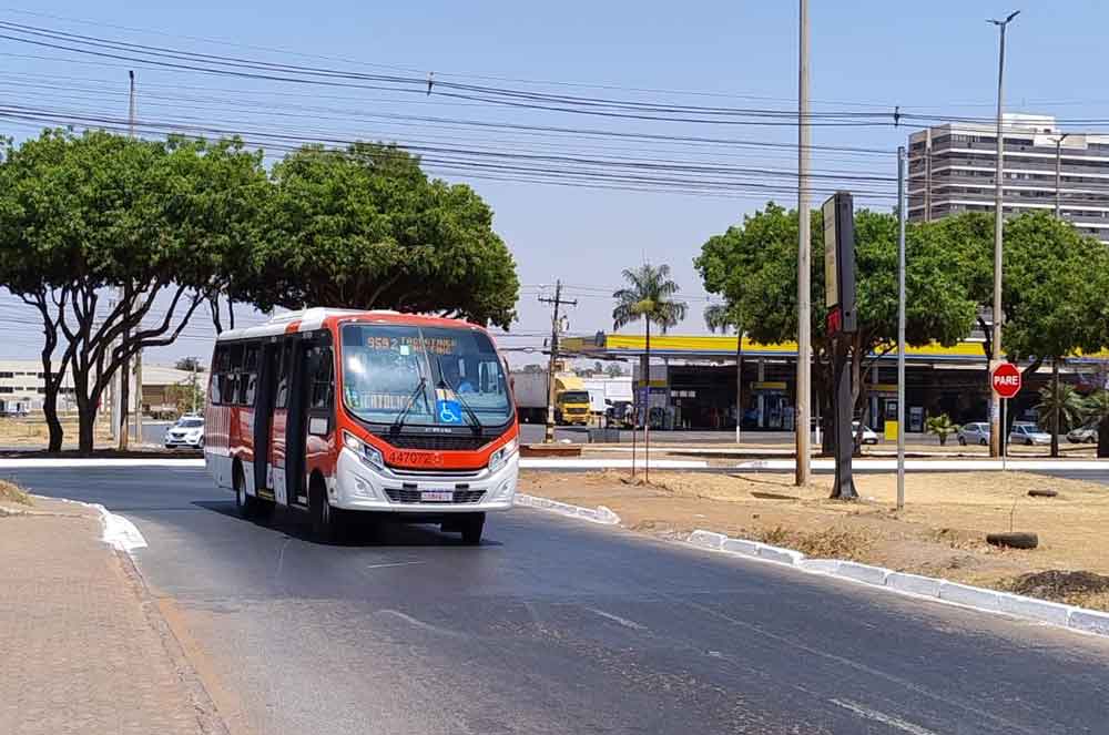 Taguatinga passa a contar com o serviço de duas linhas com ônibus Zebrinha