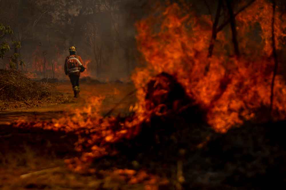 GDF convoca a população a denunciar os incêndios florestais na capital, saiba como