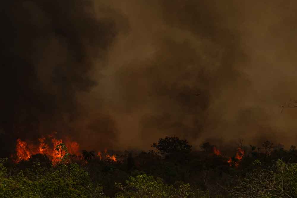 Incêndio de grandes proporções avança e queima 700 hectares do Parque Nacional de Brasília