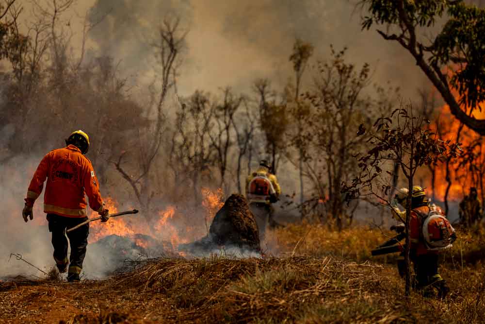 Polícia Federal abre inquérito para investigar incêndio em Parque Nacional de Brasília