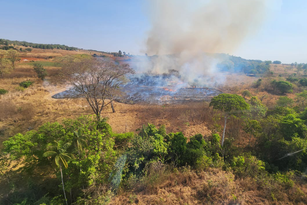 PCDF prende mais dois suspeitos de causar incêndios florestais