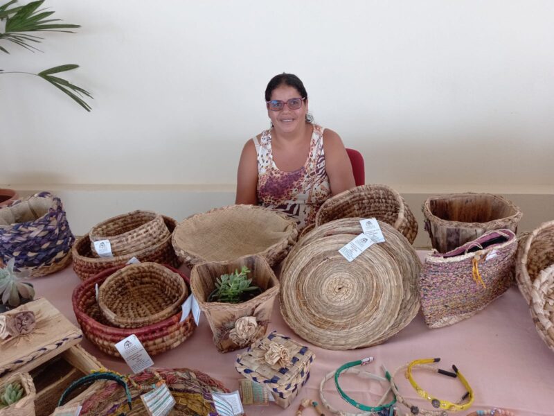 Feira na Asa Norte exalta produtoras rurais do Distrito Federal