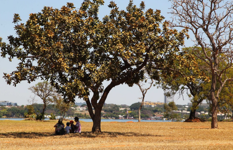 Polo 1 do Lago Norte terá mais viabilidade econômica