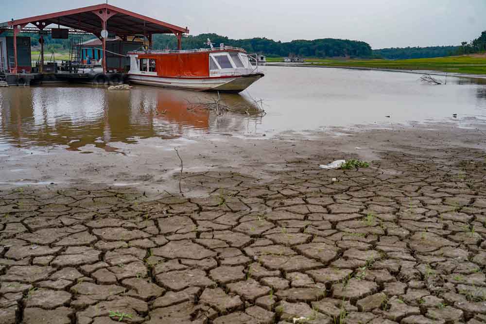 No Pantanal, águas do Rio Paraguai atinge o nível mais baixo em quase 60 anos