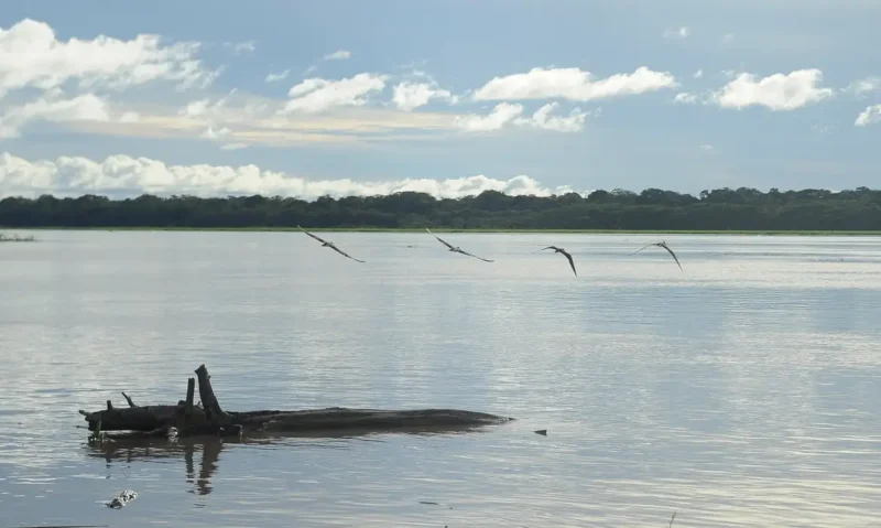 Governo paga auxílio para pescadores da Região Norte