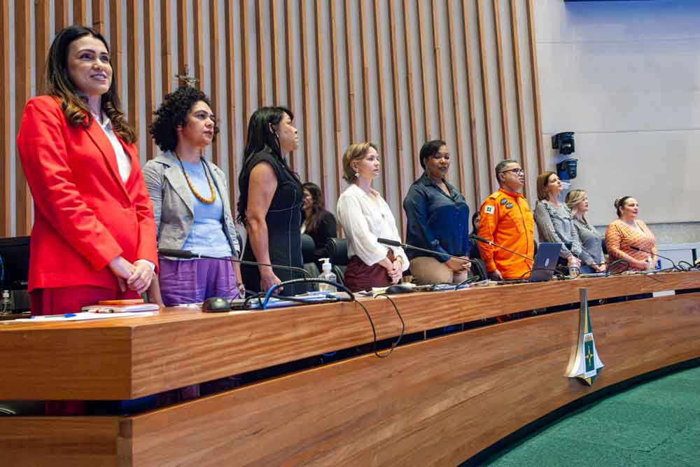 CLDF debate integração de políticas afirmativas para enfrentar a violência contra a mulher