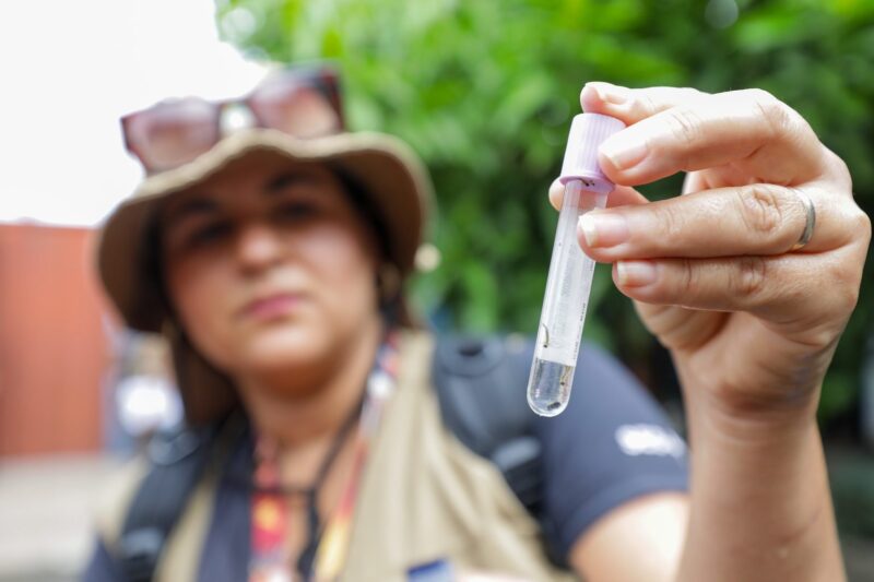 Novo aplicativo reforça combate à dengue com mapeamento de focos do Aedes aegypti no DF