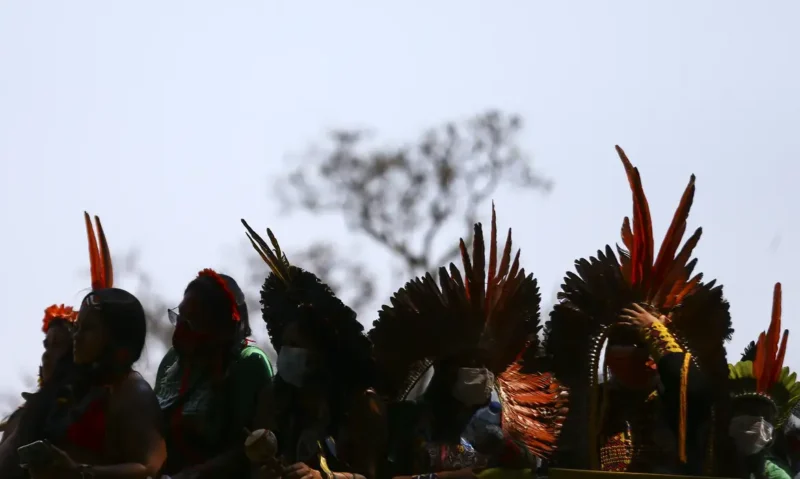 Ciência precisa dialogar com ecologia indígena, dizem pesquisadores